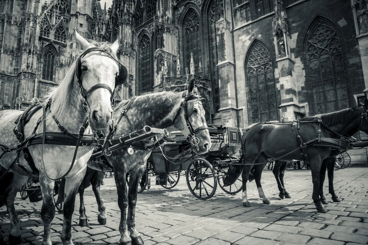 Wien-20120612-2302