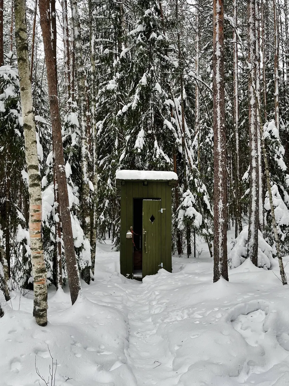 A picture of a outhouse in the woods