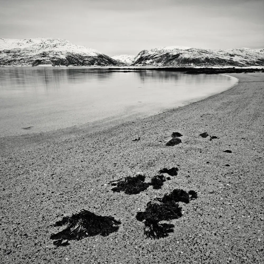 arctic-beach-2