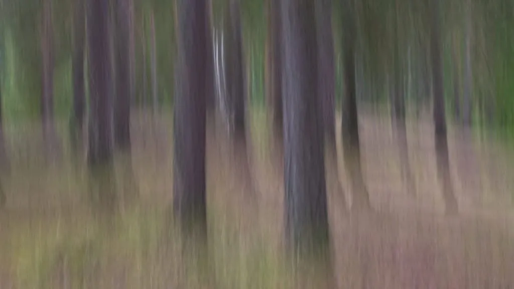ef3f296f3a