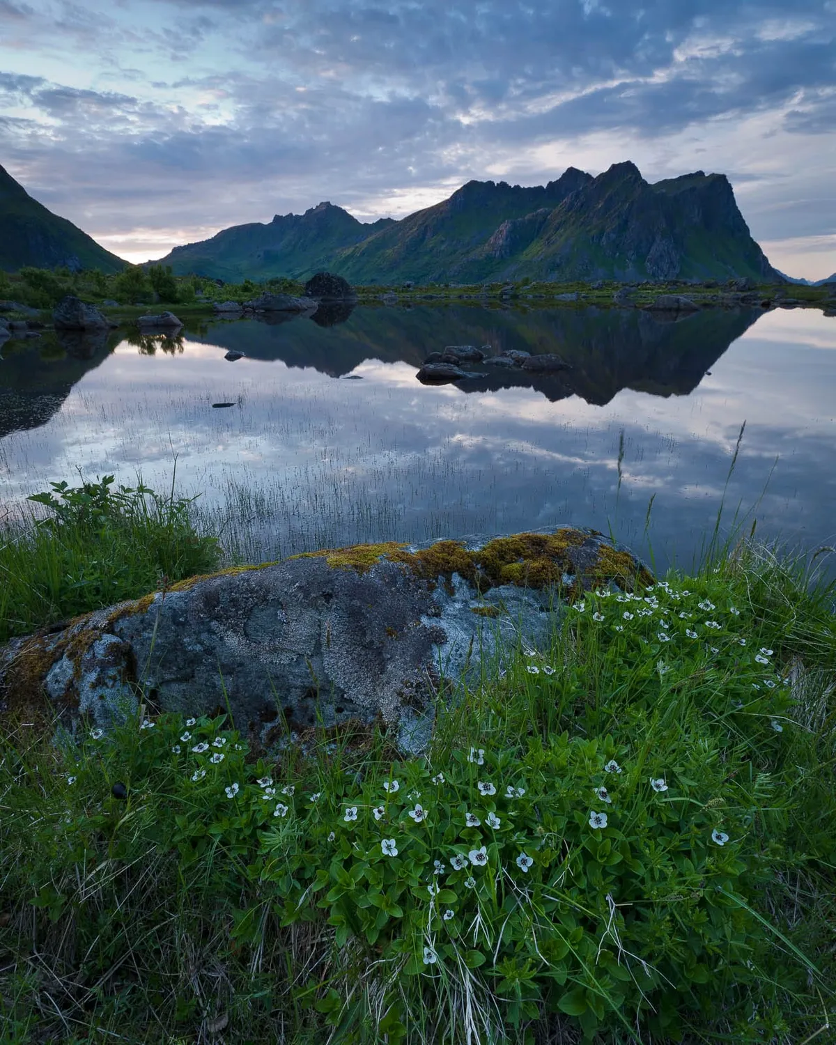 lofoten-sneak-peek-6