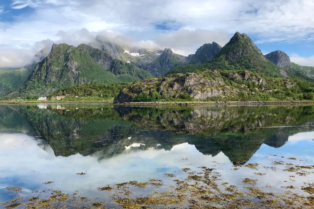 montain-view