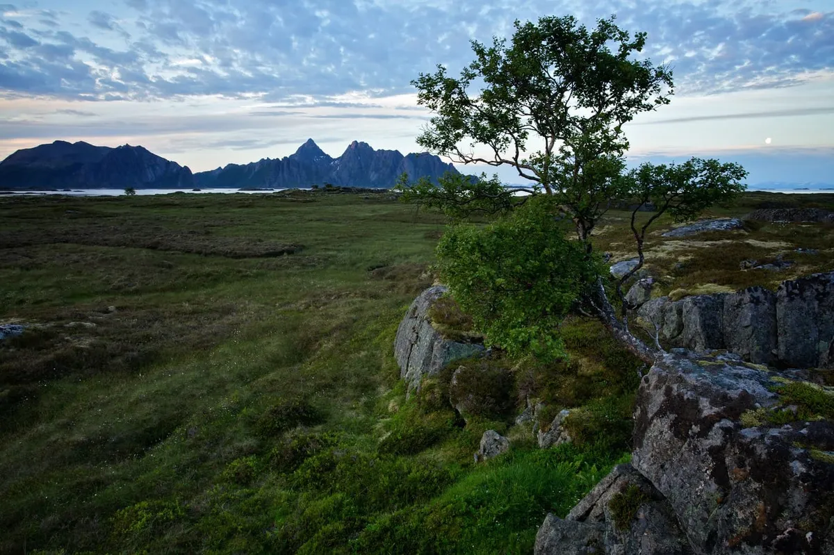 mg_4742-lofoten-norway-10-06-3