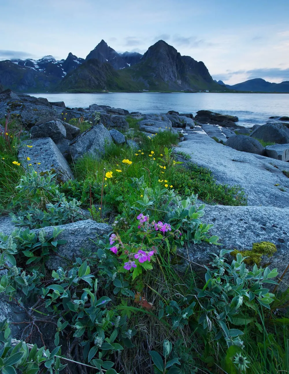 lofoten-sneak-peek-3